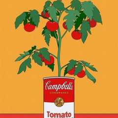 No Traffic - Vol. 33 - From Seed to Sound