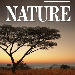 Nature (S42xE9) Season 42 Episode 9 Full/Episode -729822