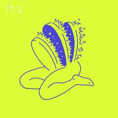PREMIERE: Bézier - Oscilloscope