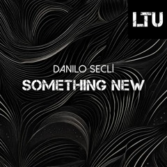 Danilo Seclì - Something New (Original Mix)