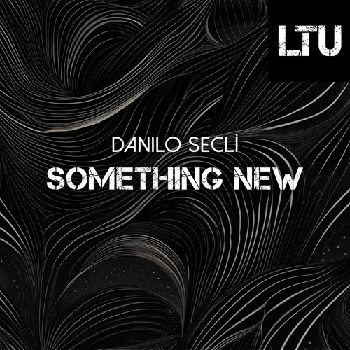 Danilo Seclì - Something New (Original Mix)