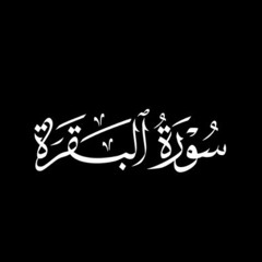 سورة البقرة - علي جابر