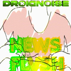 DROIDNOISE - NEWS FLVSH (EARLY B-DAY FREE DL)