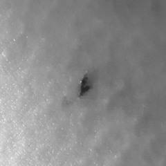 Too close- Sir Chloe (cover)