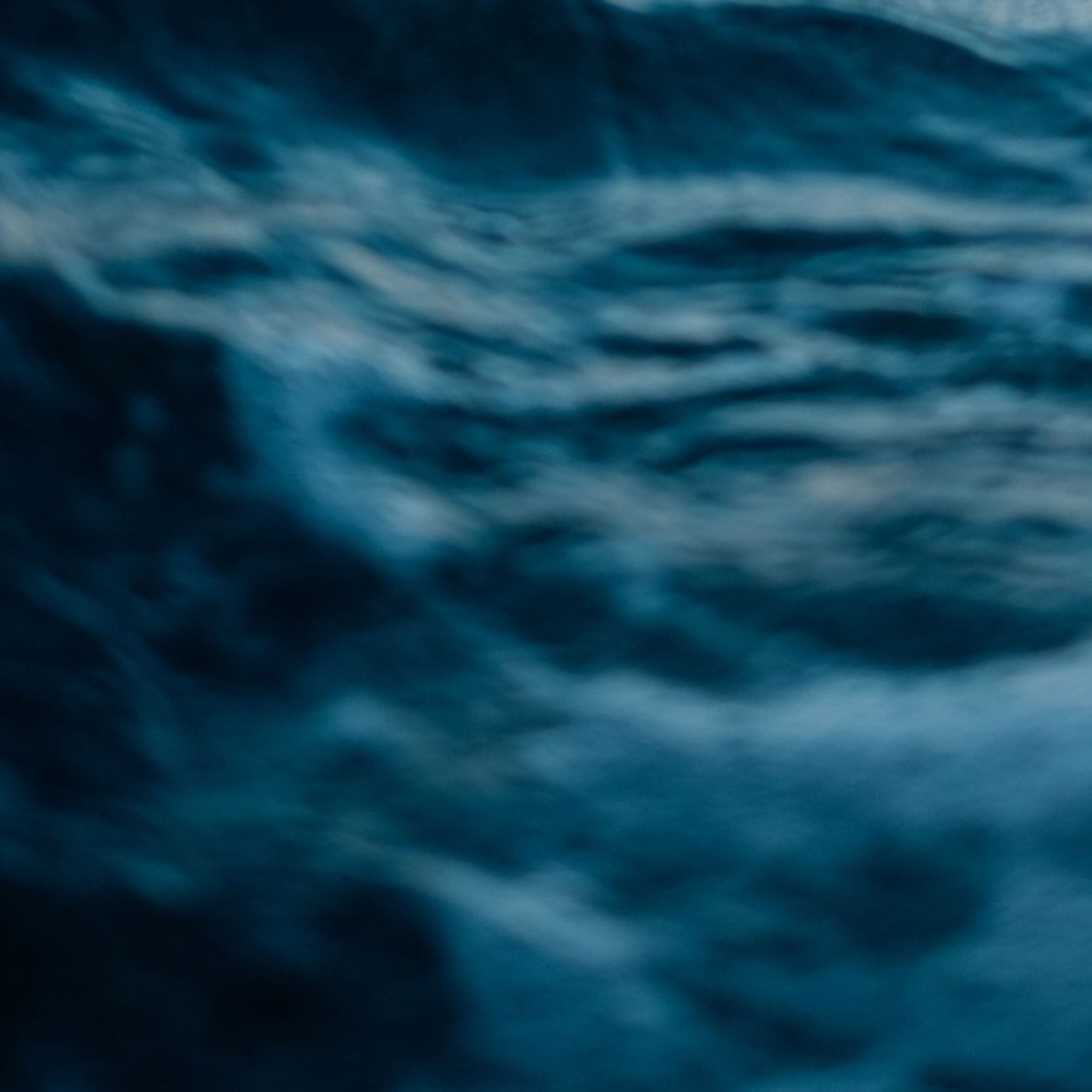 I've got joy: Een mooi vooruitzicht [Oscar Biesheuvel]