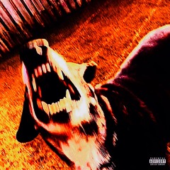 Worthwhile stuff support Mars-25