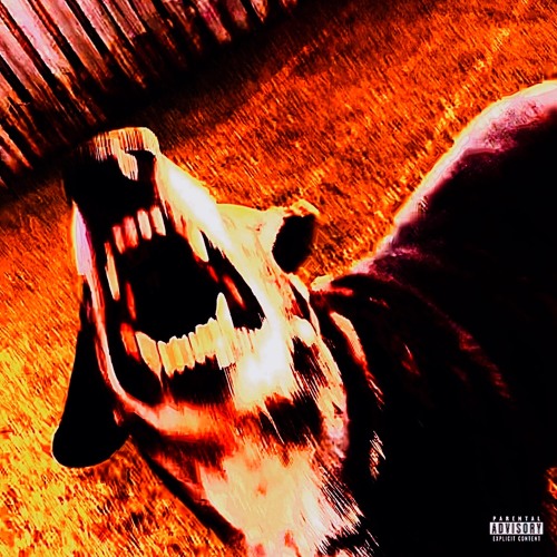 Worthwhile stuff support Mars-25