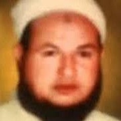 تفسير الشيخ ابراهيم عزت رؤية قرأنية فى سورة هود