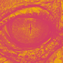 Doechii - Bullfrog Remix