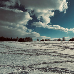 A Stupid Christmas Song