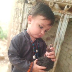 Raanjhan