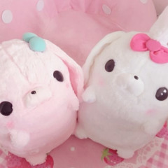 (⁄ ᐢ⁄•⁄ω⁄•⁄ᐢ ⁄)🎀