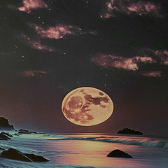 Moonlight Night | Morning High