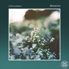 Chill Beats Records - Discography