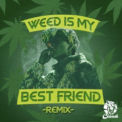 Weed Is My Best Friend (Remix)