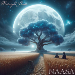 Midnight Stories 32 Guestmix NAASA