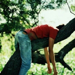 ريشه ودعت جنح الحمامه🪽