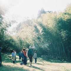 森の中, 都市の中に (숲의 중앙, 도시의 중심에서)