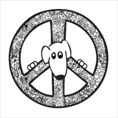 peace, not war (zigimo)