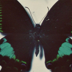 List of Demands (Prod. P.isi)