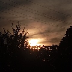 the Light in the Night