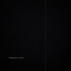 Magnetic Skin