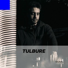 Signal 039: Tulbure