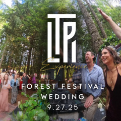 The Ultimate Festival Wedding Experience - FULL SET ✨💍🎶