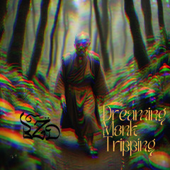 Dreaming Monk Tripping