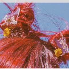 Baby Bird [prod. JustBenBeats]