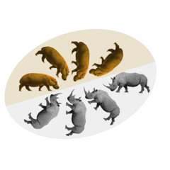Hippos & Rhinos