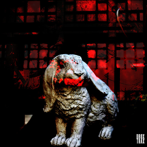 War DEN - Cómo Explicar Arte A Una Liebre Muerta (Selena Remix) [DRX039] Limited Free Download