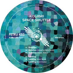 PREMIERE: PETRU KSS - Landing (Joton Breaks)