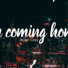 Skylar Grey -Coming Home (EB remix)