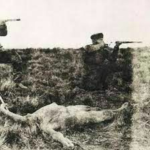 SELK´NAM GENOCIDE(demo session)