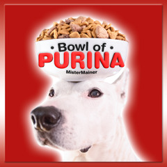 Bowl of Purina