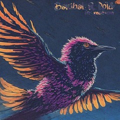 Baribal & Pold - In Motion