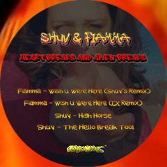 FIAMMA - wish u were here (Shuv's Remix) snippet