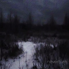 Neverturn