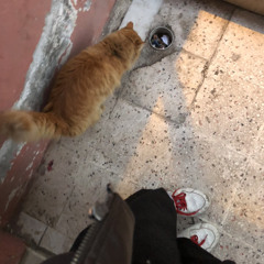 Volta & Ximista - West Side