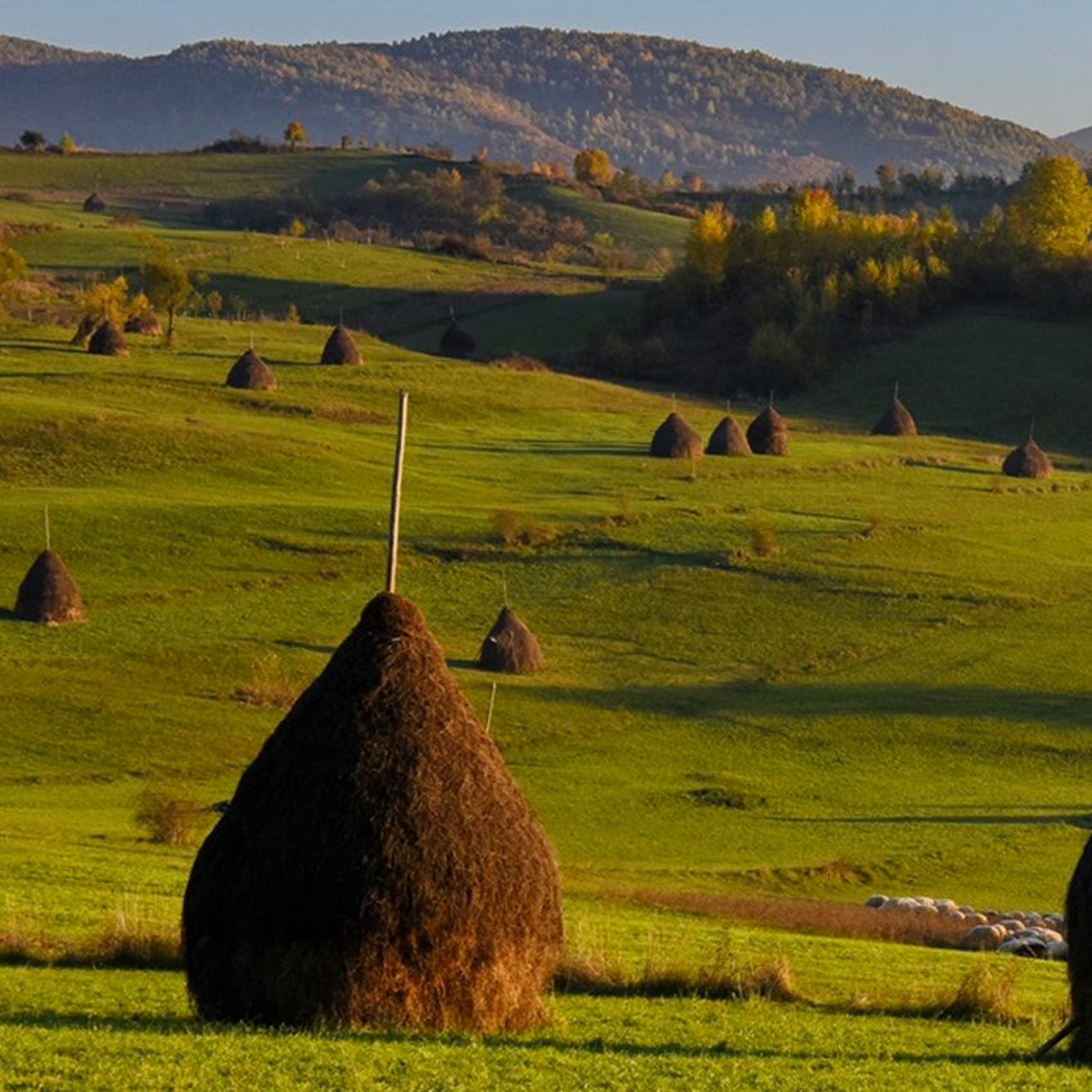 Zile și Nopți