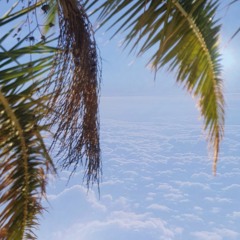 ALOHA