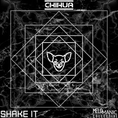 CHIHUA- SHAKE IT
