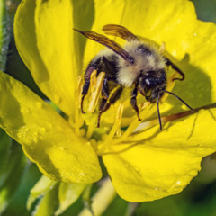 Sounds of Soil, “Depaving” the Way to Greener Neighborhoods, The Light Eaters and more.