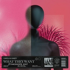 2timesdope - What You Want