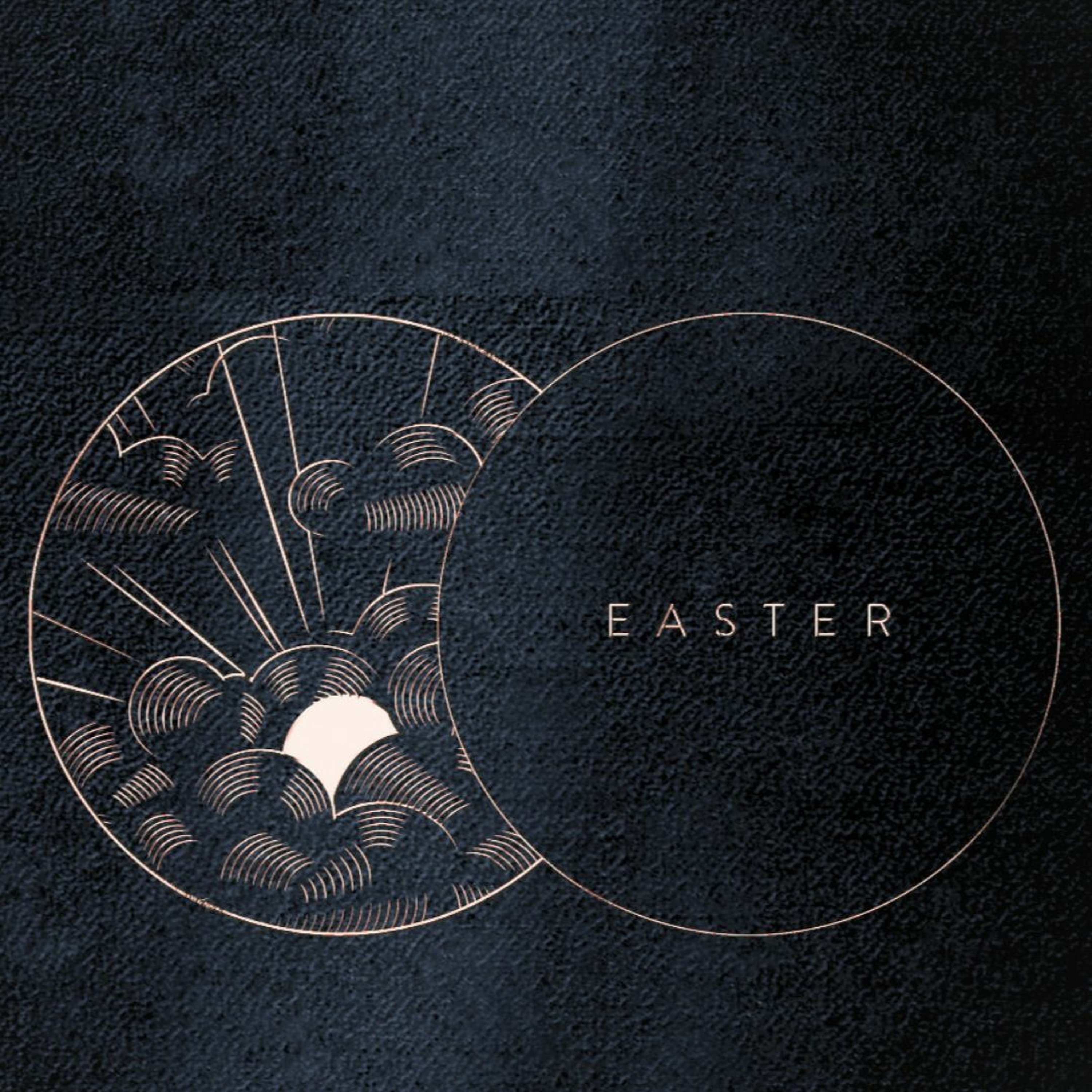 "Why are you Crying?" || John 20:11-18 || Easter Sunday 2023 episode artwork