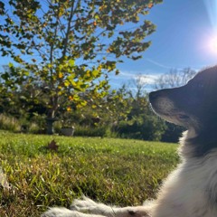 First Arabesque - Claude Debussy.m4a