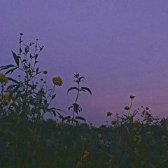 사실난겁이났었어 (2020) (demo)