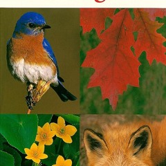 Kindle⚡online✔PDF National Audubon Society Field Guide to New England: Connectic