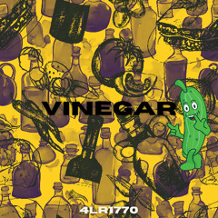 Vinegar (Original Mix)